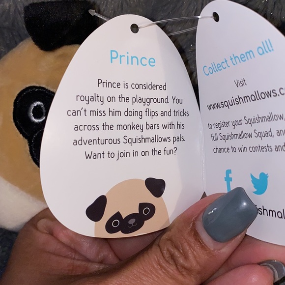 🧸Squishmallow “Prince” pug
3.5” clip
BNWT - Picture 2 of 3